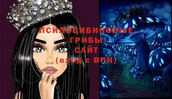 метамфетамин Няндома