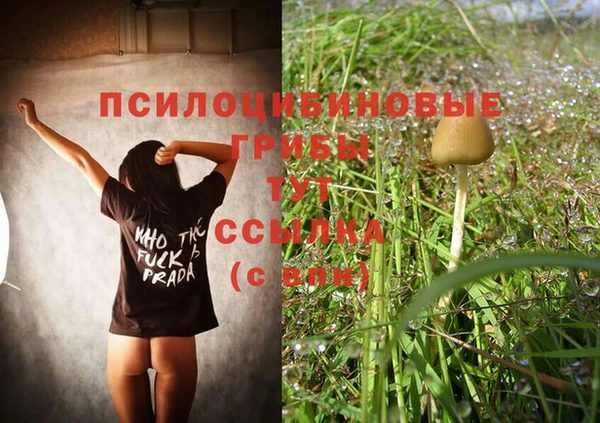 mdma Нязепетровск