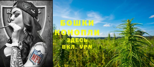 кокс Осташков