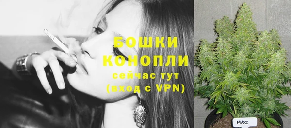 амф Осинники