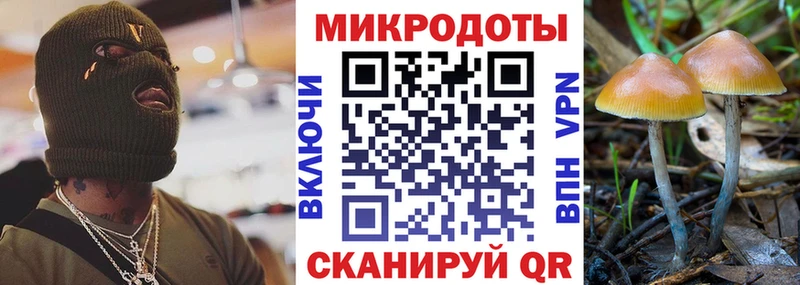 наркотики  Нестеровская  Галлюциногенные грибы мицелий 